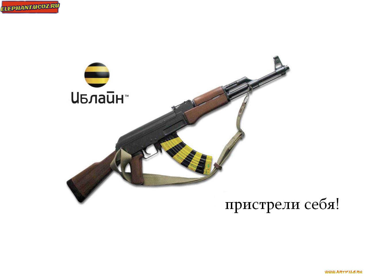 , , , , 